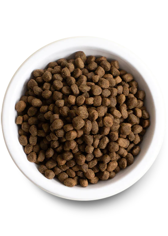 Open Farm | Senior Dry Dog Food Near Me | ARMOR THE POOCH
